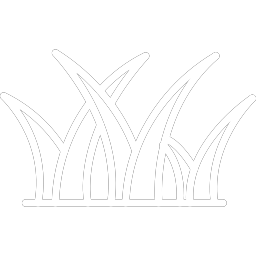 turf install/cleaning