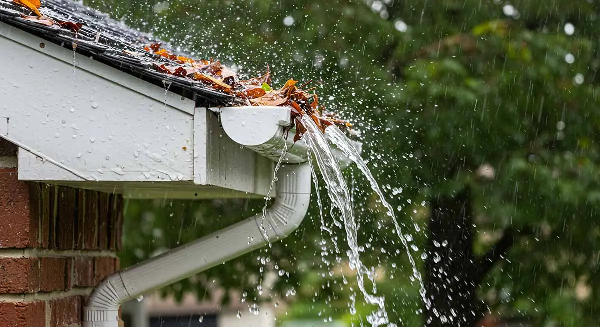 Gutter Cleaning project photo 3