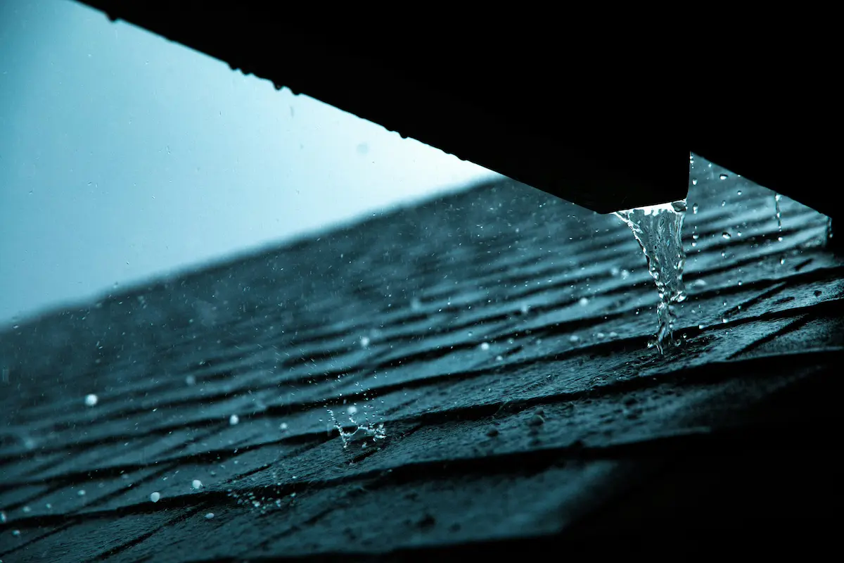 Gutter Cleaning project photo 4