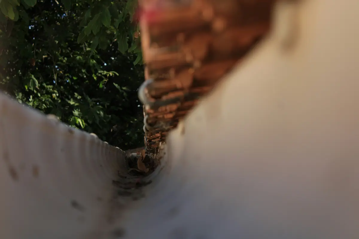 Gutter Cleaning project photo 5