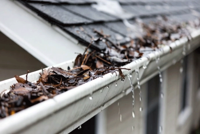Professional gutter cleaning in Austin TX